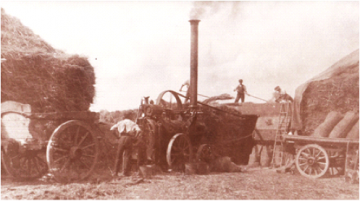 Steam powered threshing at East Hanney circa 1903.